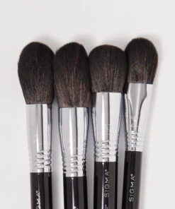Studio Brush Set