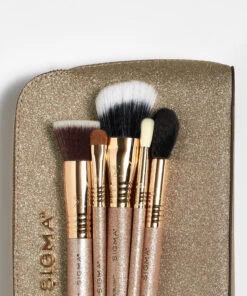 Radiant Glow Brush Set