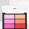 02 Rose Coral Blush Palette